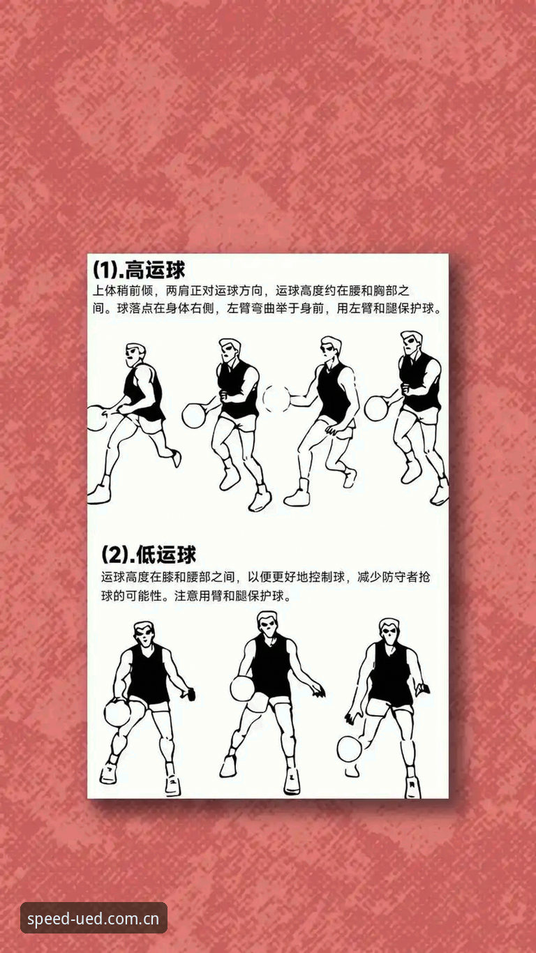 玩转UED体育玩法2026最新版本的实用指南——新手必备操作技巧与经验分享